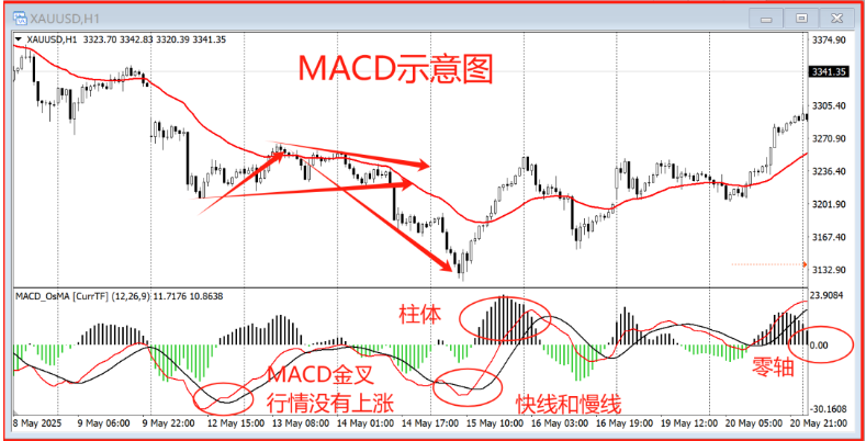 QQ_1790492451666.png
