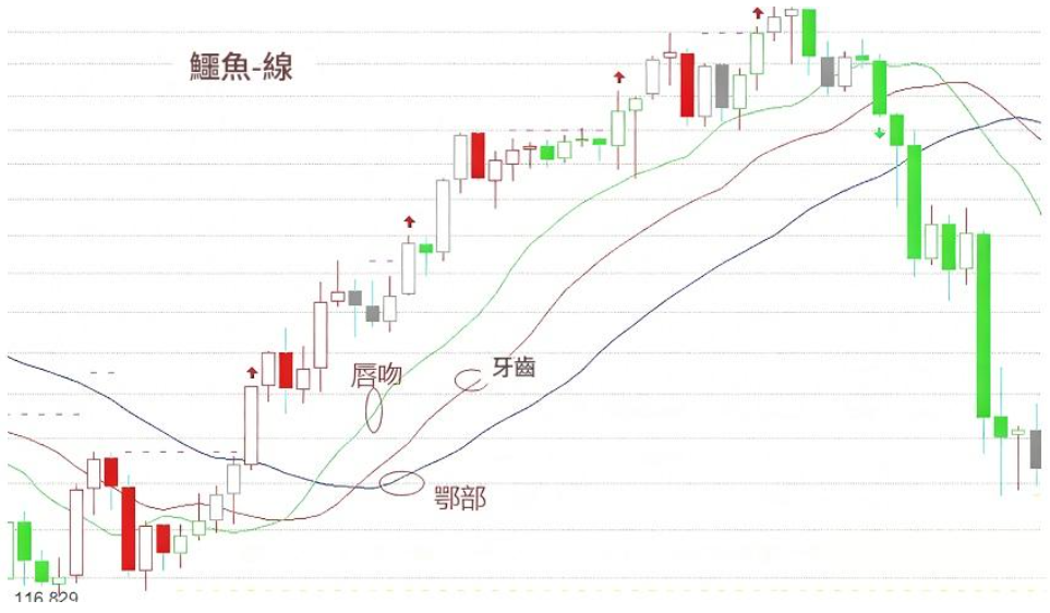 QQ_1790500255299.png